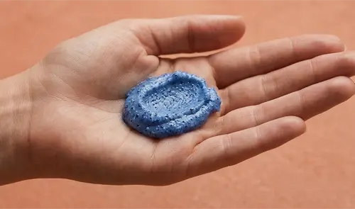 كمية من مقشر النيلة الزرقاء في راحة اليد